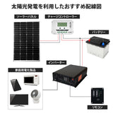 2500W 正弦波インバーター CSW2500TR